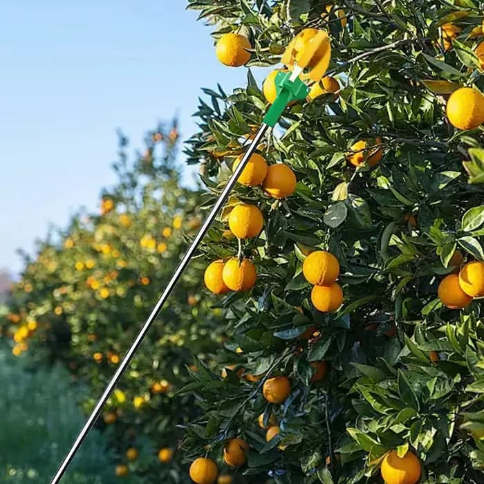 Cueilleur de fruits télescopique à trois griffes avec fonction de coupe de branches