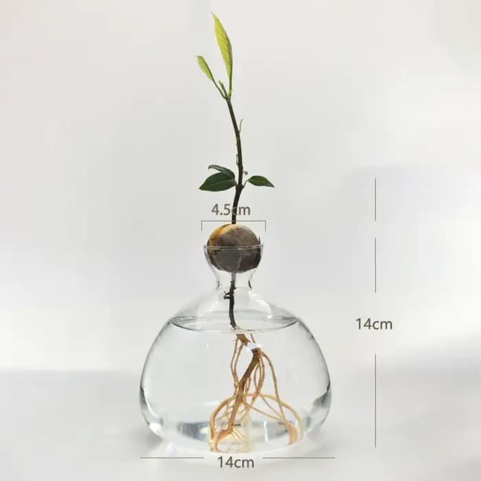 Kit de plantes en verre avec autocollants pour les amateurs de jardinage