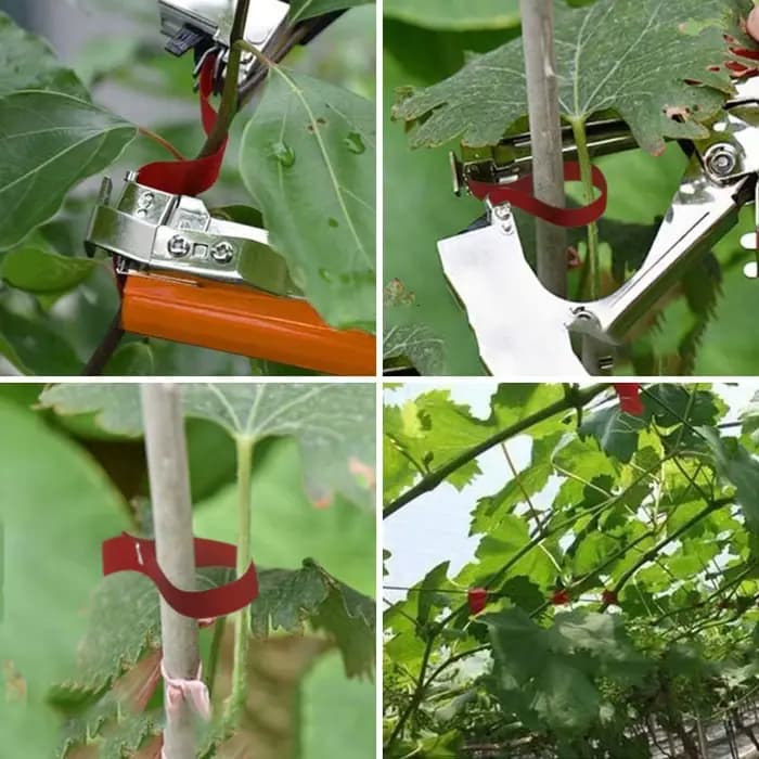 Machine à Attacher les Plantes