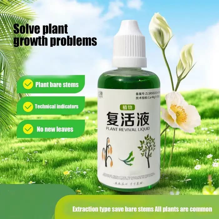 Agent d'enracinement succulent 50ml