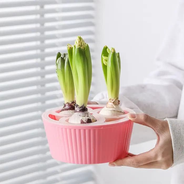 Jardinière hydroponique à 3 trous pour ampoules de fleurs