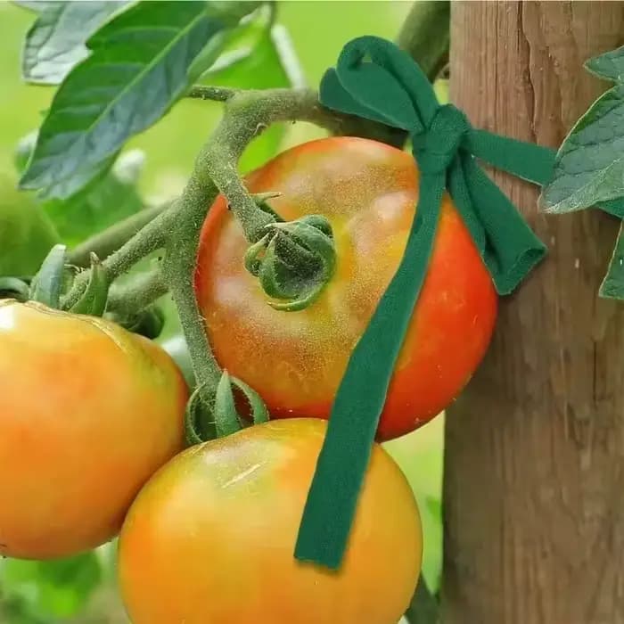 1 rouleau de ficelle de jardin