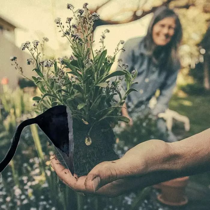 Houe de jardinage avec petit manche en bois