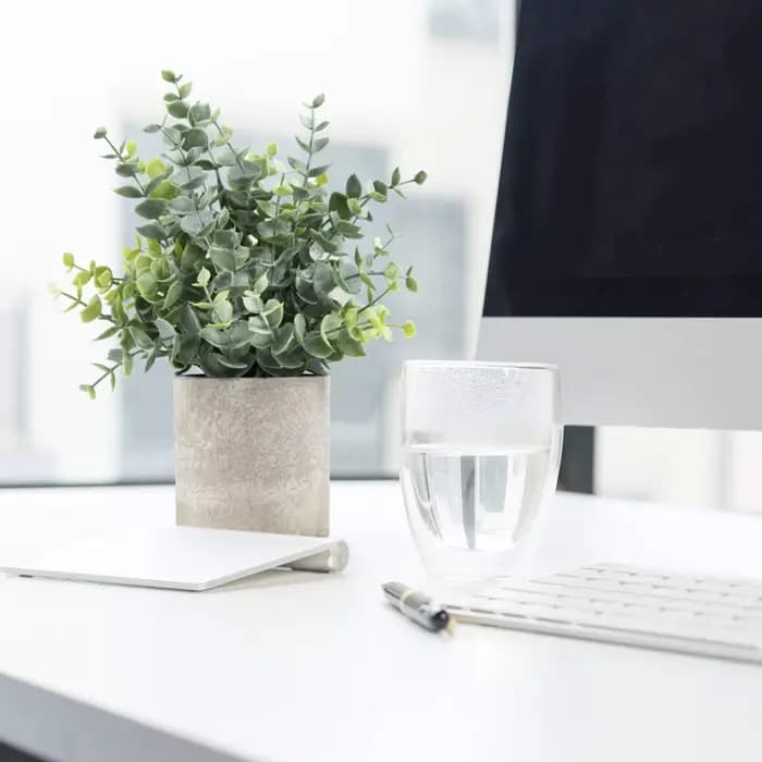 Paquet de 2 petites fausses plantes d'eucalyptus
