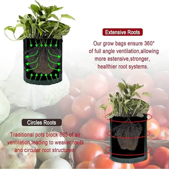 Sac de culture de tomates