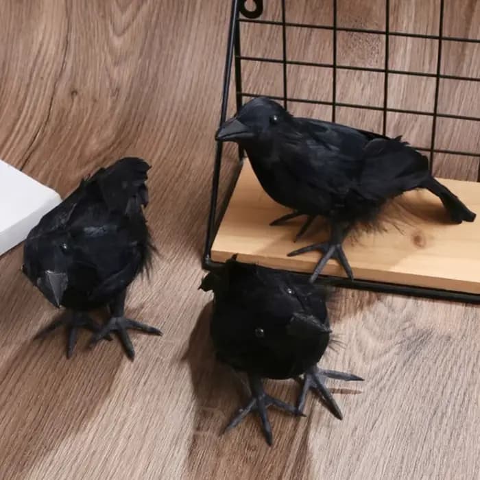 🌟 Corbeau noir de simulation