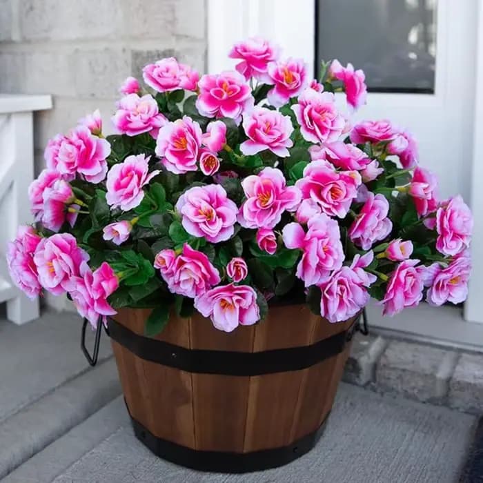 Fleurs d'extérieur résistantes aux UV