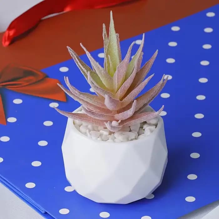 2 pièces de bonsaïs succulents artificiels avec pot