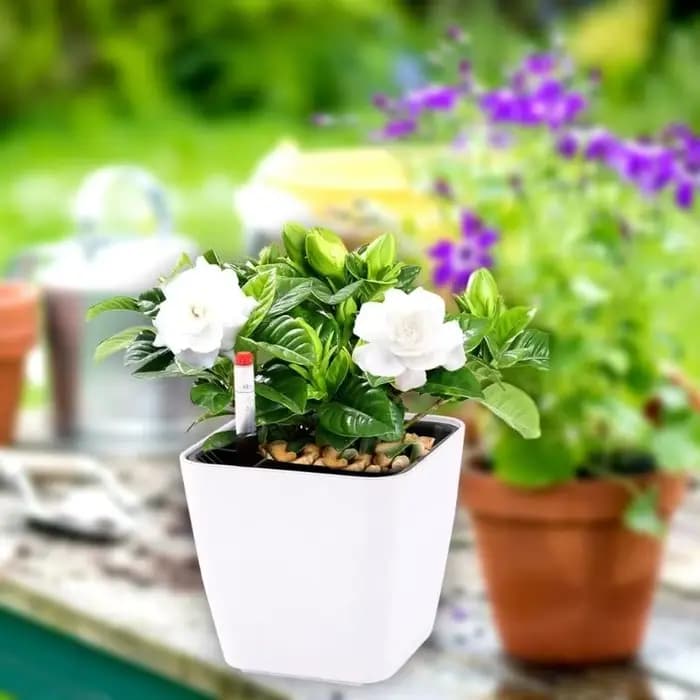 Pots de fleurs auto-arrosants avec dispositif de niveau d'eau