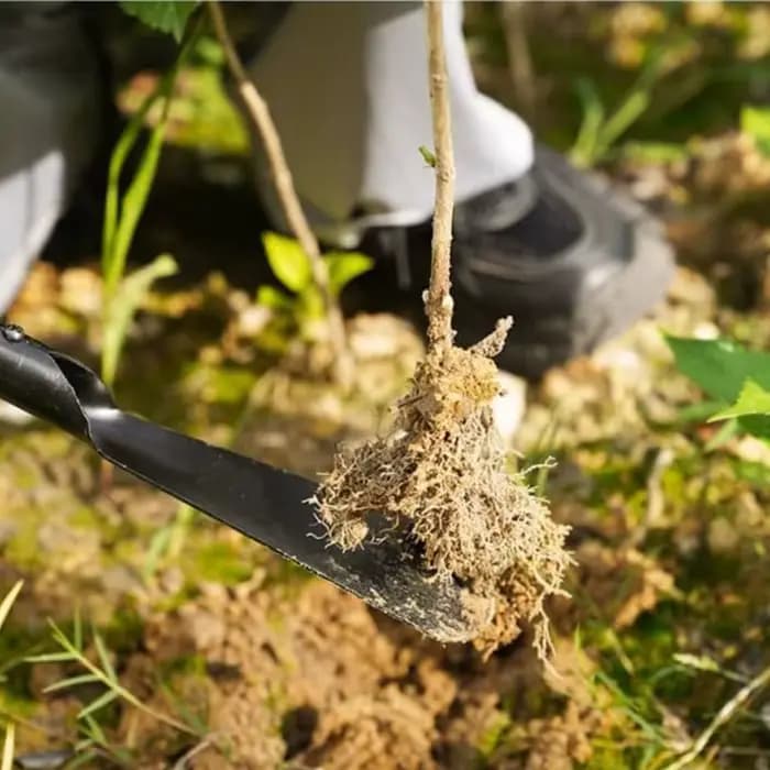 Outils de jardinage en métal pour creuser