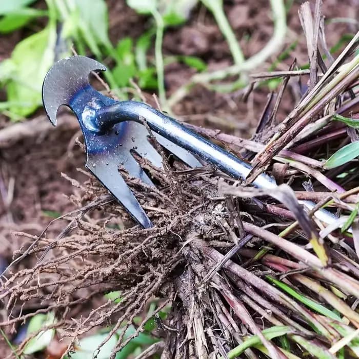 Désherbeur manuel multifonctionnel à 4 dents pour jardin - Outil de désherbage durable et portable pour le jardinage et la culture des légumes