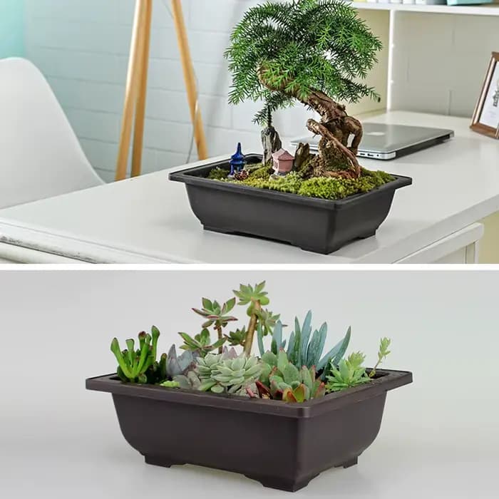 Plateau de jardinage pour bonsaï