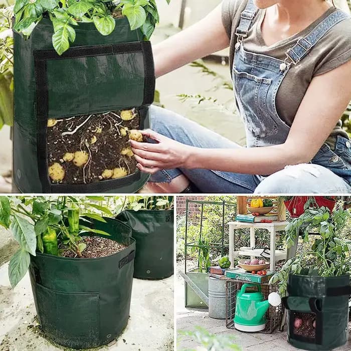 Sacs de culture de pommes de terre de 3 à 10 gallons