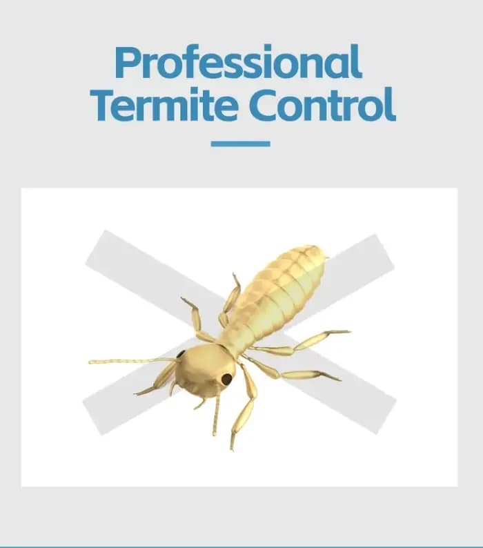 Aijin 10% Bifenthrin SC - Puissant insecticide contre les termites et les insectes - Usage domestique