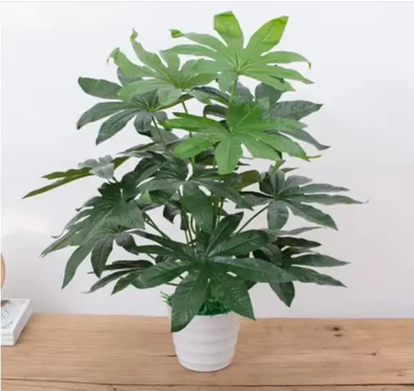 Plantes artificielles d'aloès vert