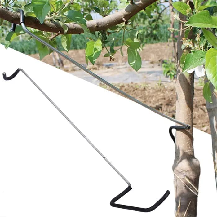 Écarteur de branches d'arbres fruitiers