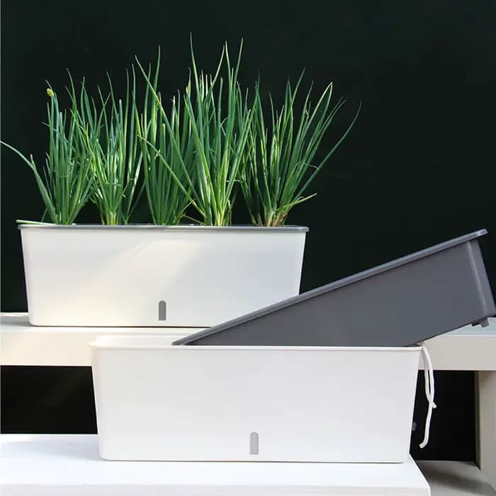 Pots de jardinière à arrosage automatique avec indicateur de niveau d'eau pratique
