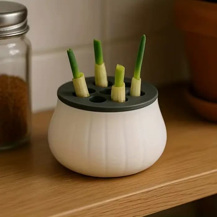 Pots à fleurs pour oignons verts