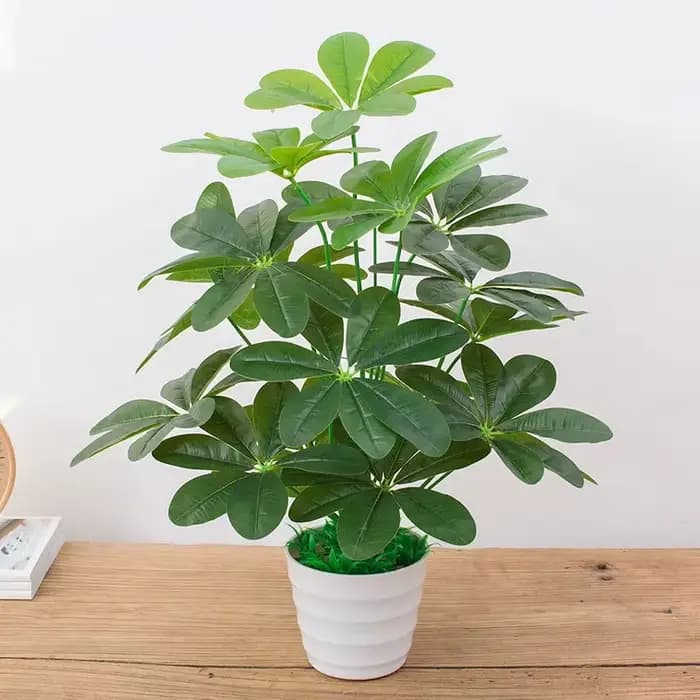 Plantes artificielles d'aloès vert