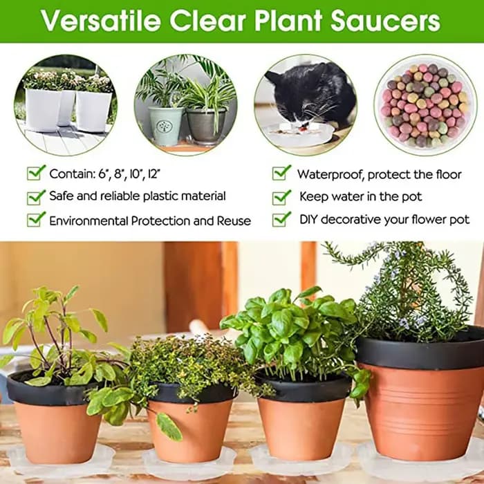 Plateau pour pot de plantes transparent 6/8/10 pouces