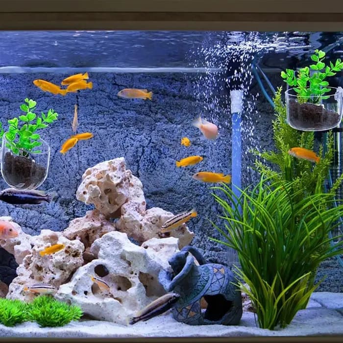 Pot pour plantes aquatiques en acrylique avec ventouse