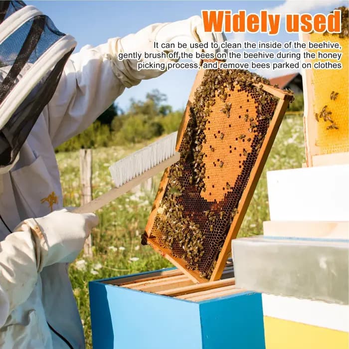 Outils d'apiculture : Brosse à miel en bois