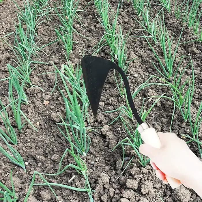 Houe de jardinage avec petit manche en bois