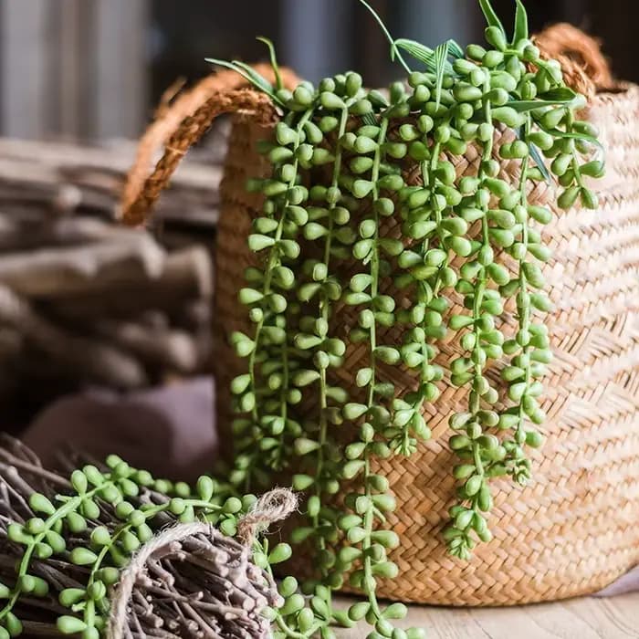 Plantes succulentes artificielles vertes, maison, jardin, chambre à coucher, balcon, Table de bureau, Mini bonsaï, décoration de fête de mariage, fausses plantes