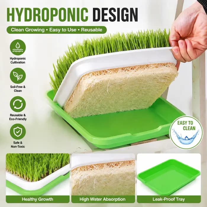 Plateau de germination hydroponique sans terre
