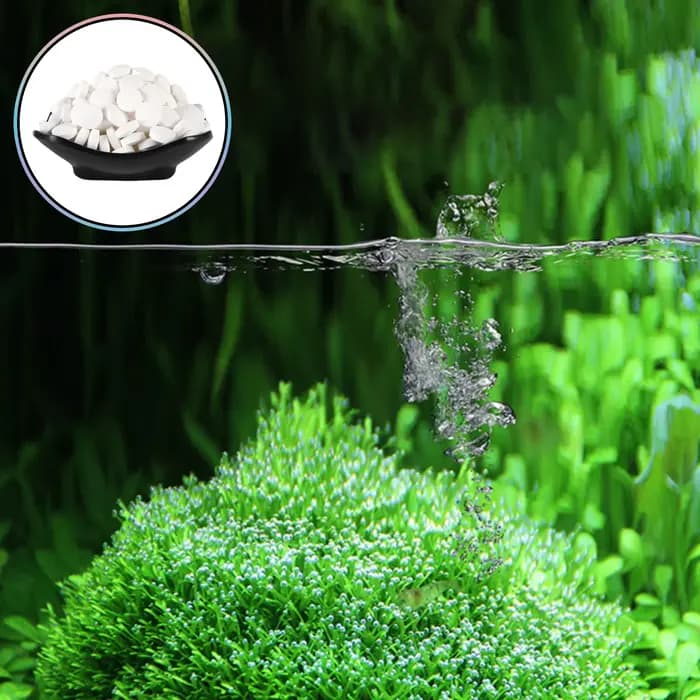 Comprimés de nettoyage des algues d'aquarium