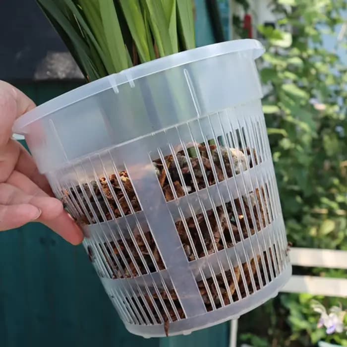 Pot d'orchidée avec soucoupes