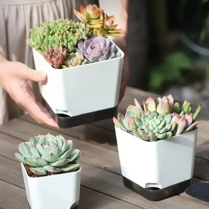 Pots de plantes 5 pièces