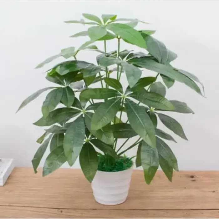 Plantes artificielles d'aloès vert