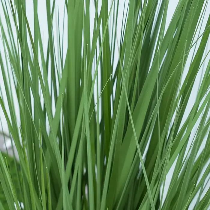 Grande plante verte bonsaï artificielle avec pot
