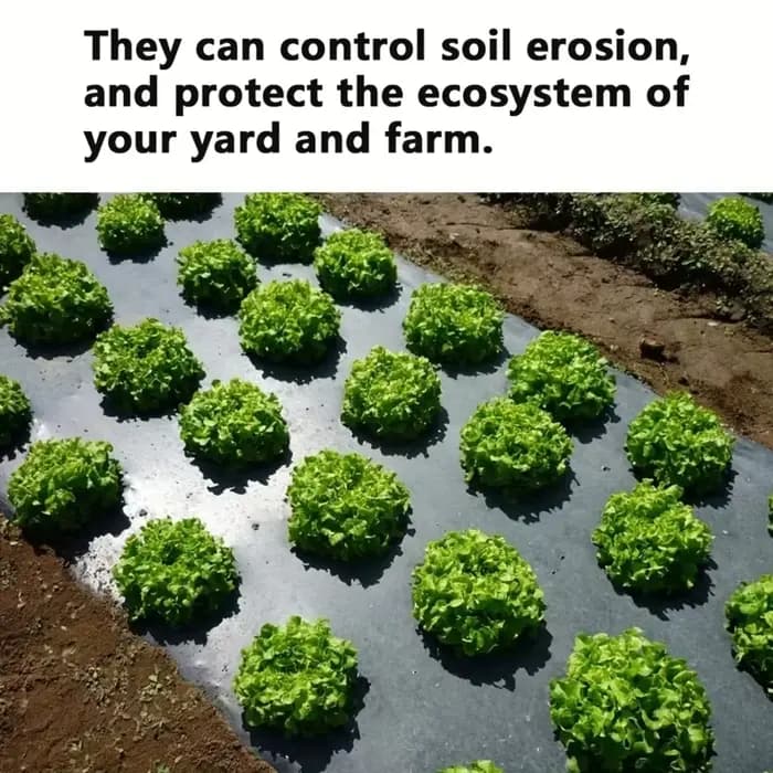 Toile de paillage perforée respirante pour jardin et agriculture