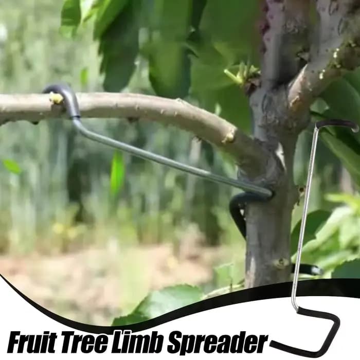 Écarteur de branches d'arbres fruitiers