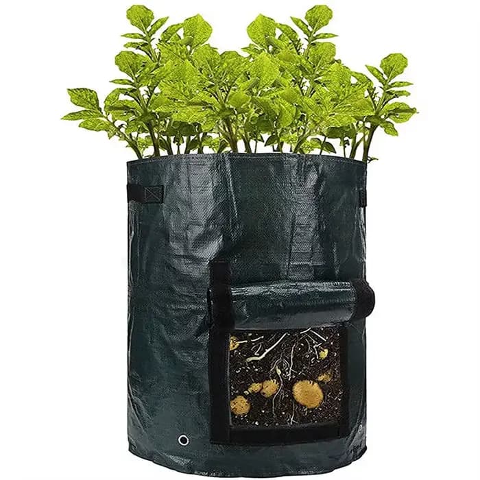 Sacs de culture de pommes de terre PE