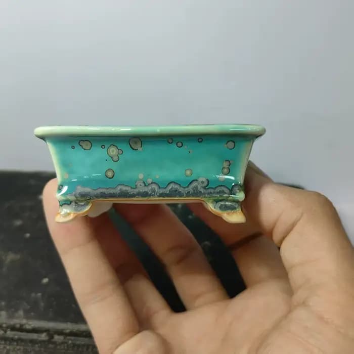 Mini bonsaï émaillé de haute qualité avec forme rectangulaire