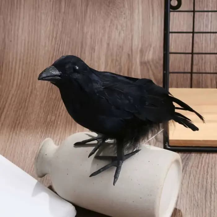 🌟 Corbeau noir de simulation