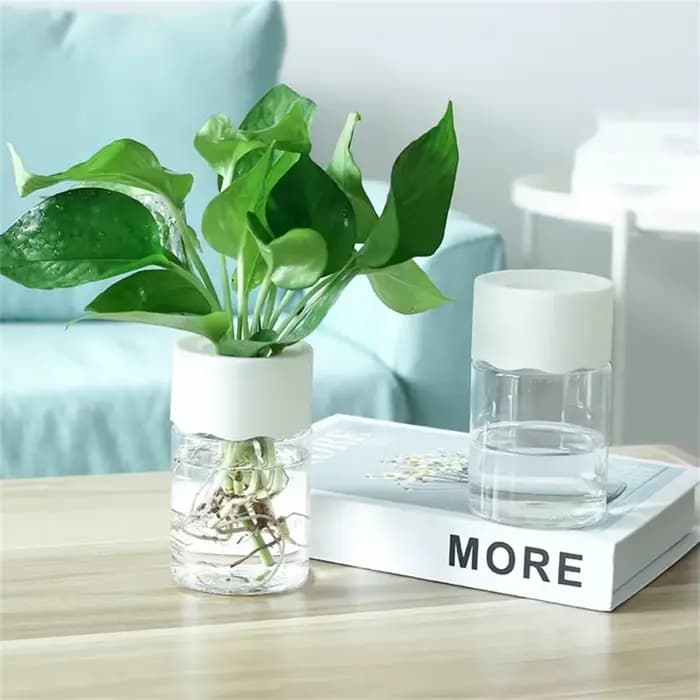 Mini Pot de fleur hydroponique