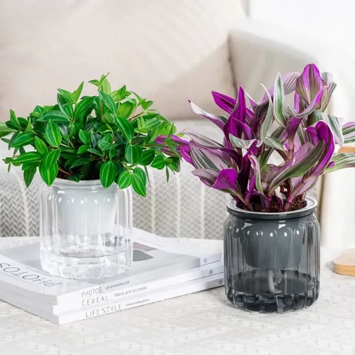 Pots de fleurs en plastique pour table