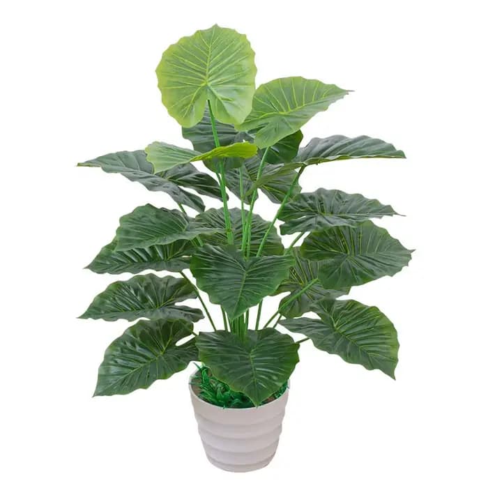 Plantes artificielles d'aloès vert