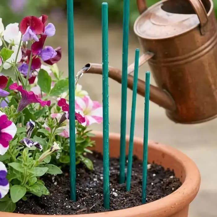 Bâtons de Soutien pour Plantes