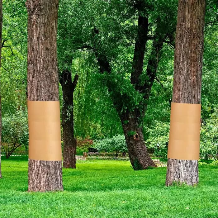 Ruban de protection pour arbres fruitiers 50M