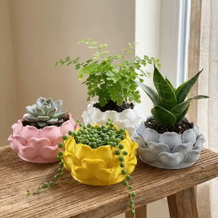 Pot de plante succulente en forme de lotus