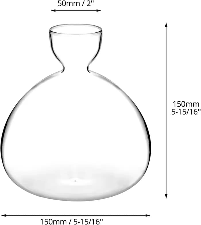 Vase en verre pour semis de graines d'avocat