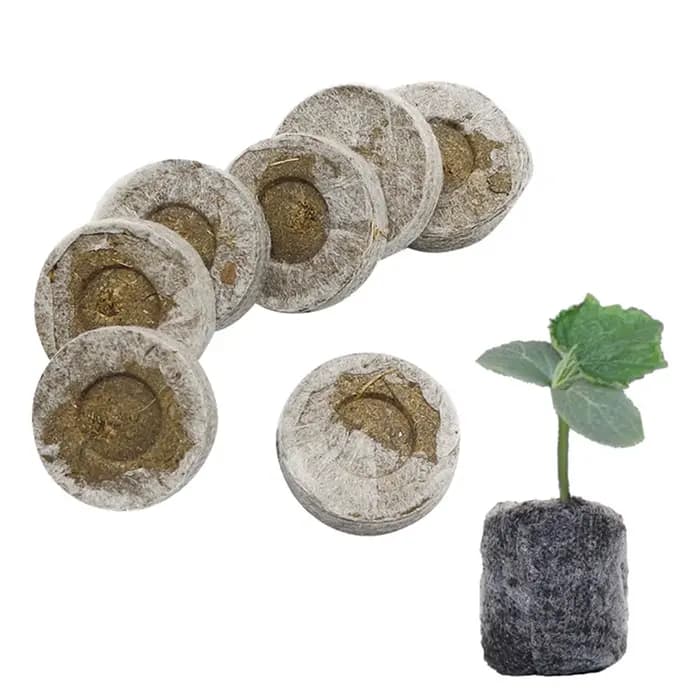 Escalade de semis 24 trous pour la germination de l'herbe de blé
