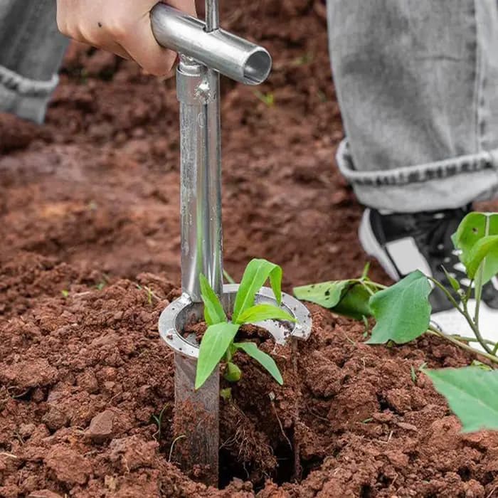 Outil de transplantation de plantes, transplantateur de semis de plantes et d'arbres fruitiers pour la plantation de tulipes, de jonquilles, d'oignons Dahlias