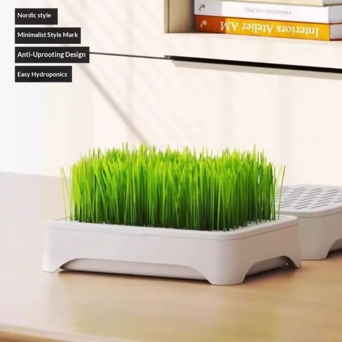 (.) Bac de culture hydroponique pour herbe à chat