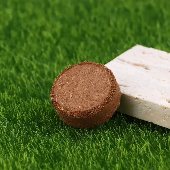 Lot de 5 pièces de fibres de coco compressées pour rempotage